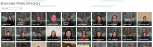 Index and Search of Employee Photo Directory